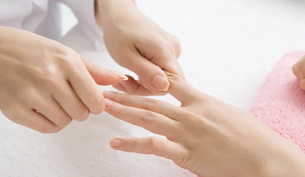 美しい手と爪の写真｜地爪ソムリエネイリスト講座