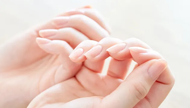 美しい手と爪の写真｜地爪ソムリエネイリスト講座